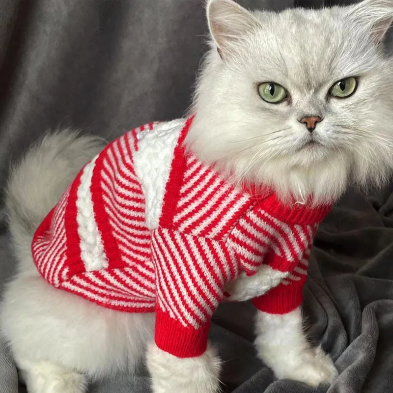 Double C Cat Sweater
