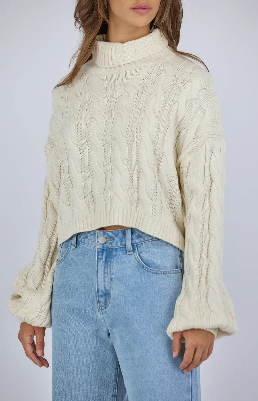 Turtle Neck Cable Cropped Knit Sweater